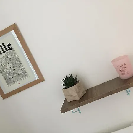 Apartment Lilloise *