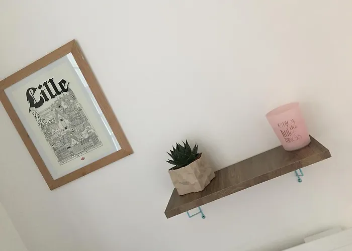 Appartement Lilloise *