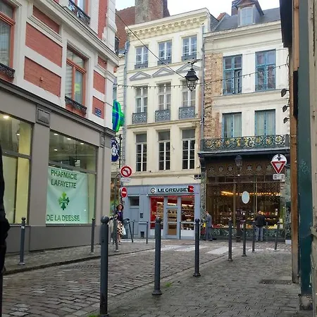 Apartment Lilloise